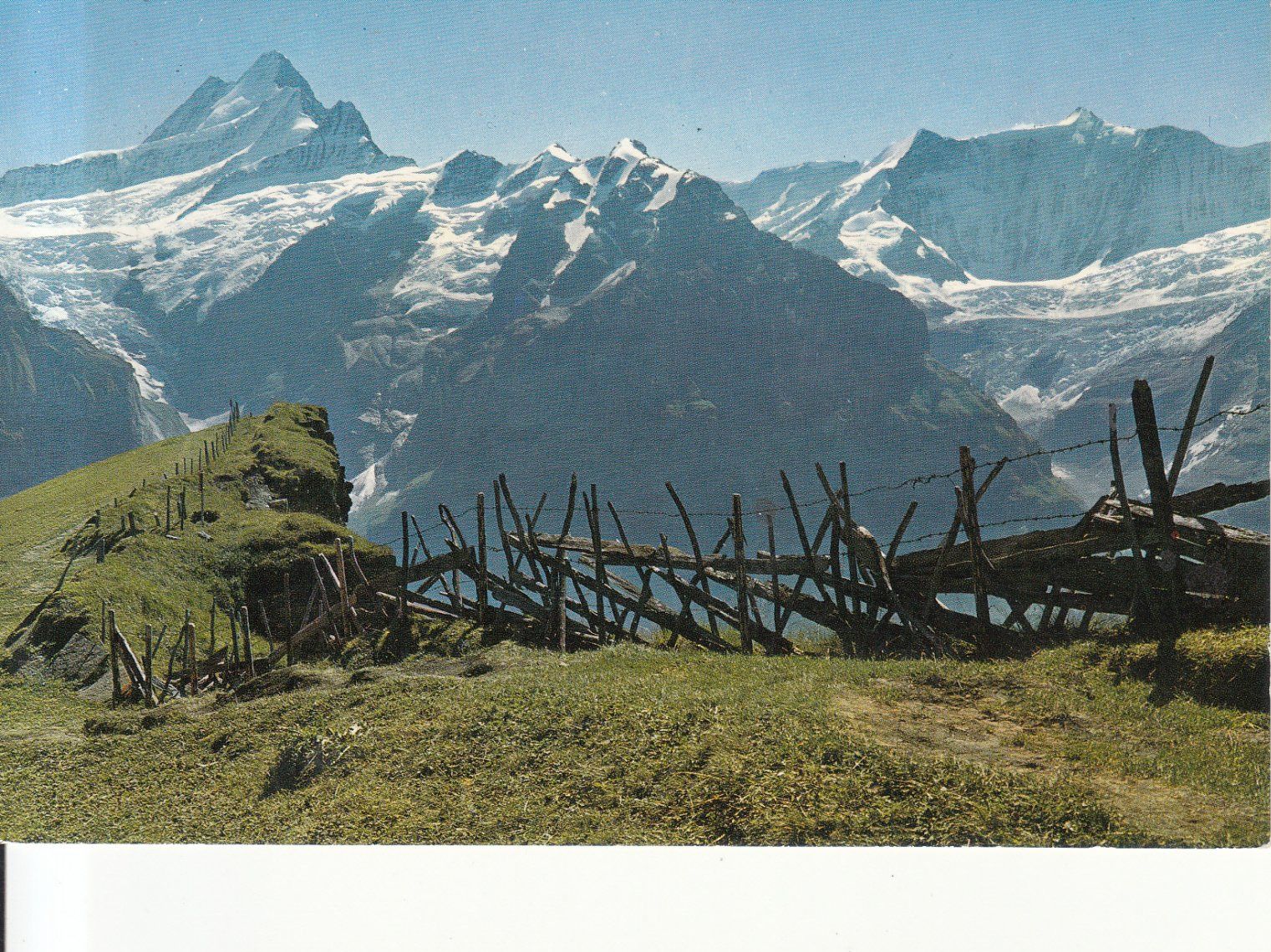 Cartoline postali: Grindelwald First 1976 – Usato da Bürglen TG venduto da StampGraf