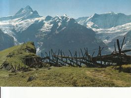 Grindelwald First 1976
