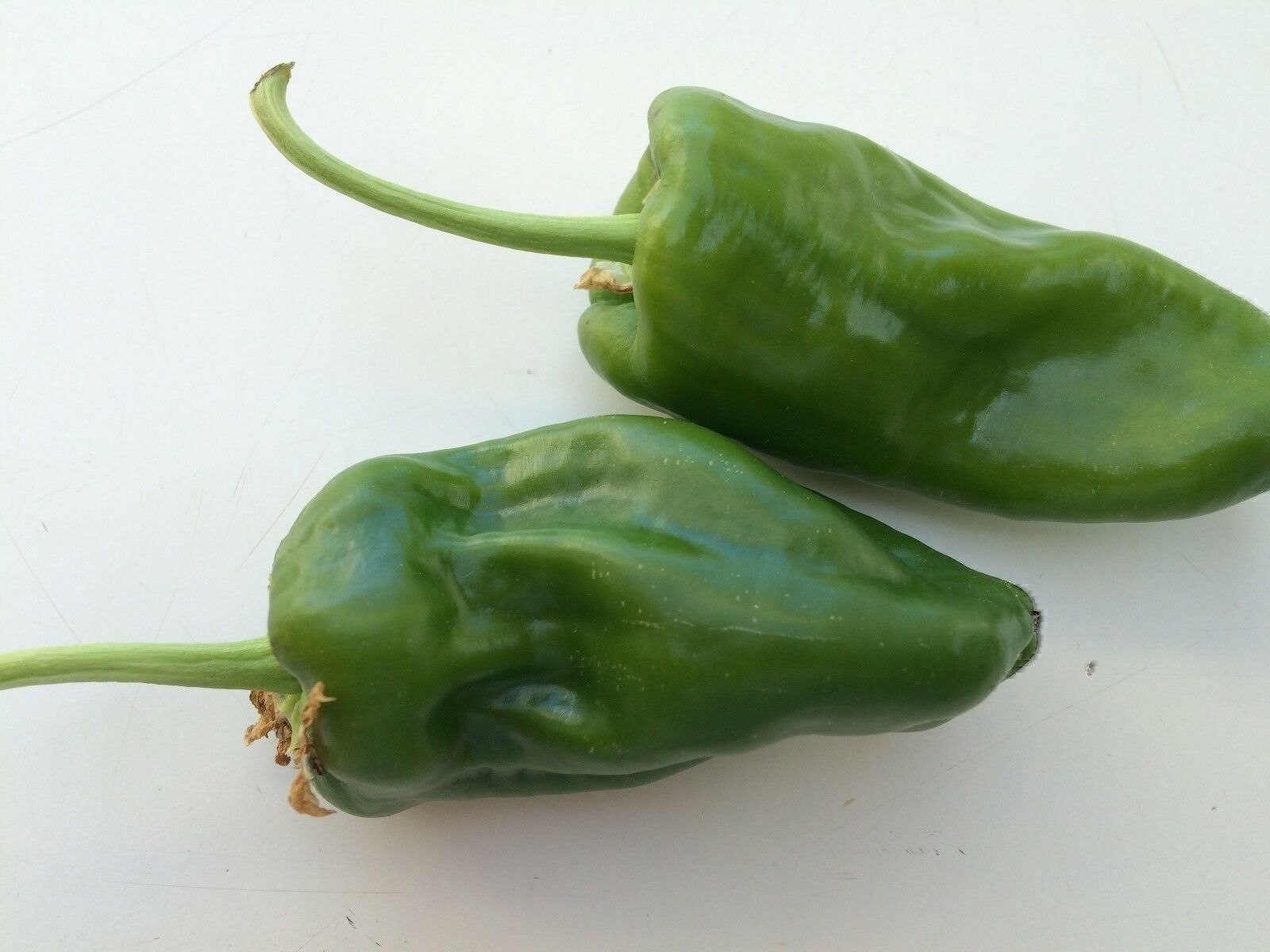 Piante & sementi: 50 Samen Pimento Padron Chili – Nuovo (secondo la descrizione) da Ehrendingen venduto da VerveinaSamen 4