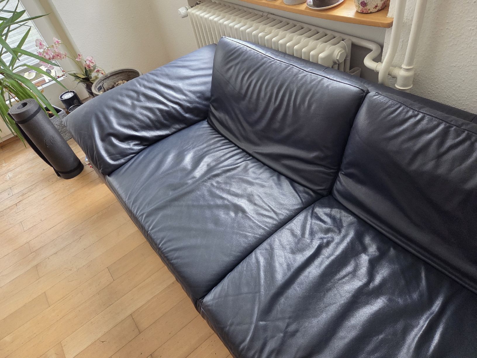 Divani: Dunkelblaues Ledersofa – Usato da Wädenswil venduto da Greatstuff 1