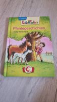 Pferdegeschichten - Leselöwen Lesepiraten neuwertig 