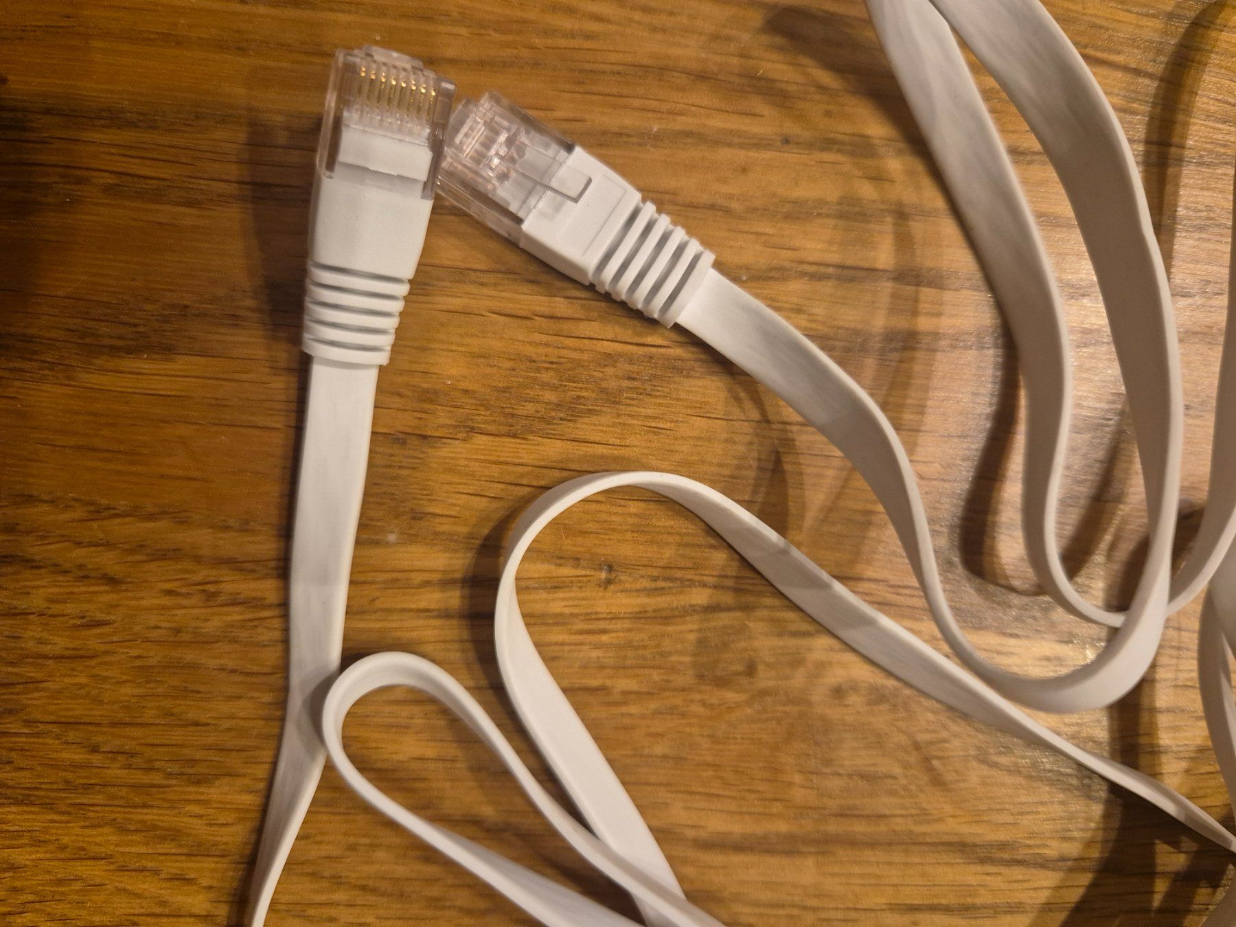Cavi: Ethernet  LAN Kabel , RJ - 45 – Nuovo e nell'imballaggio originale da Winkel venduto da Heuresis 2