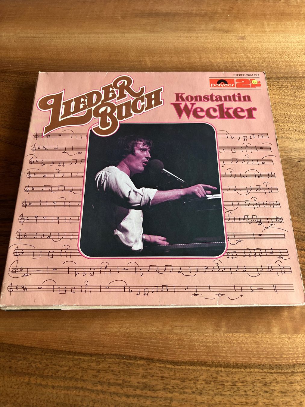 Dischi in vinile: LPs Deutsche Liedermacher:innen – Usato da Dulliken venduto da Rigi2
