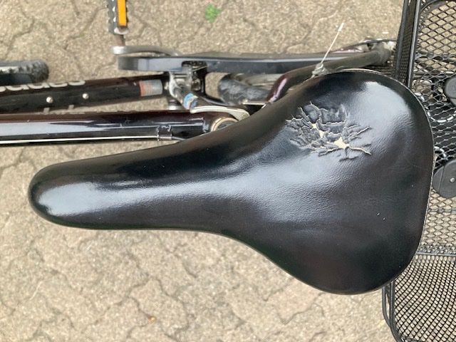 Cannondale Biciclette: Mountainbike Cannondale – Usato da Hirzel venduto da Sacha 4