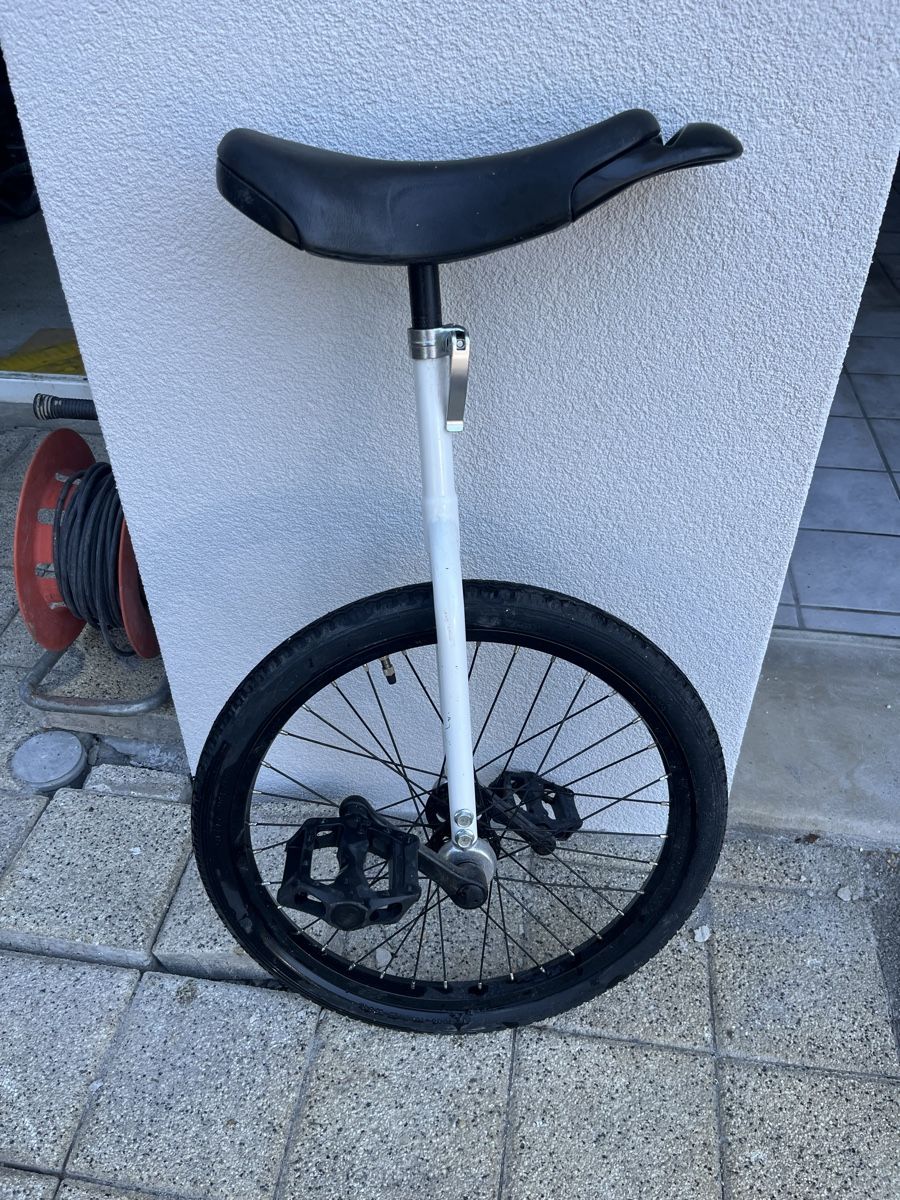 Biciclette: Einrad – Usato da Schaanwald venduto da marx_an