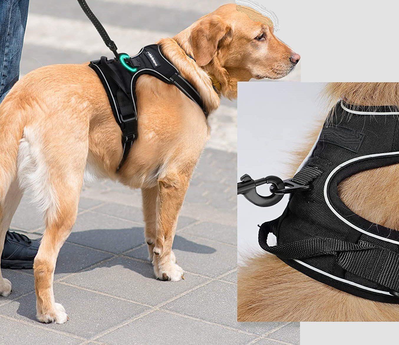 Guinzagli & Collari: EXA Hundegeschirr mit 2 Ringen - Grösse M – Nuovo e nell'imballaggio originale da Werdenberg venduto da EXA-Animal-World 5