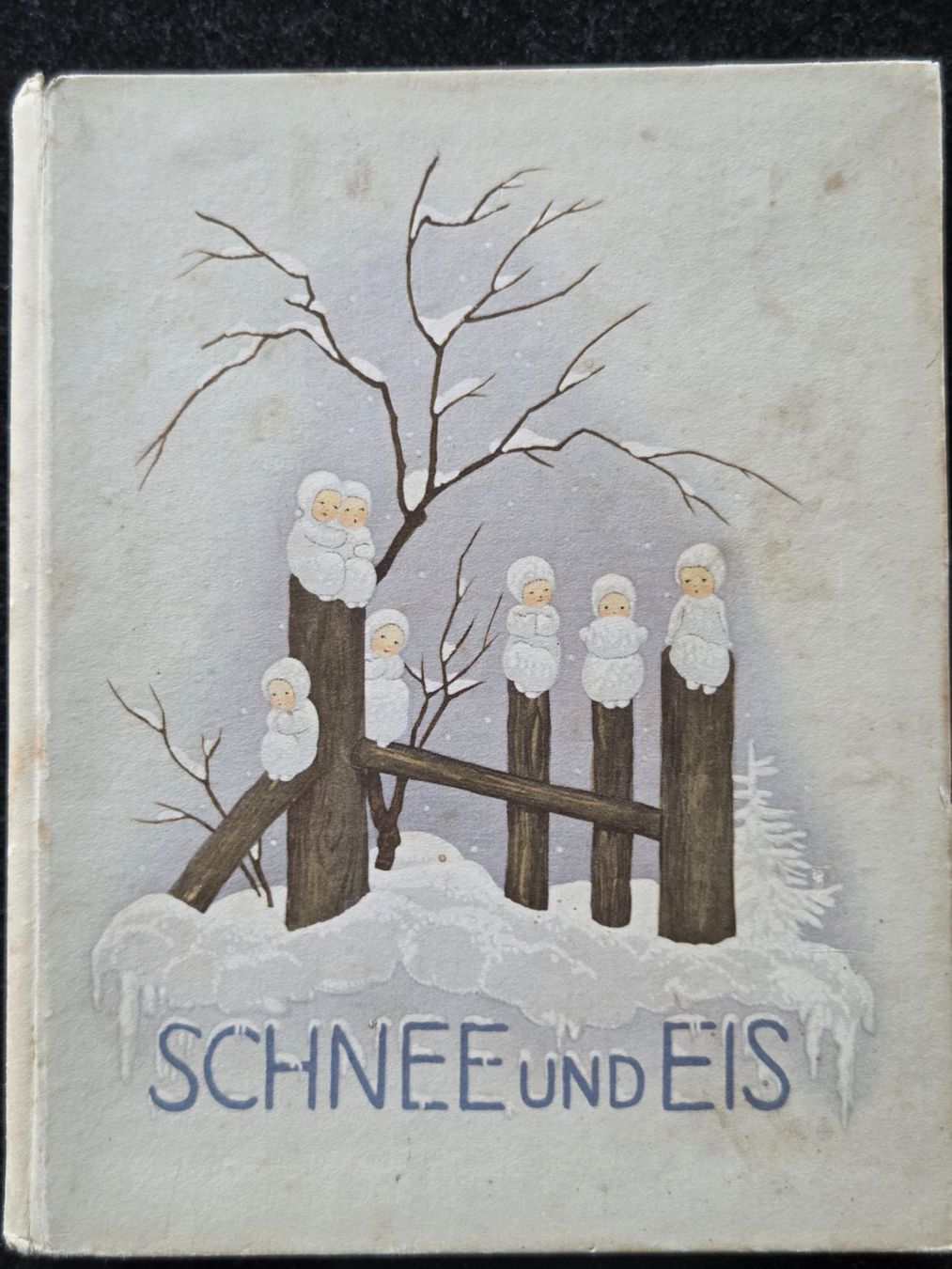 Libri: Schnee und Eis – Usato da Münsingen venduto da Sokilein