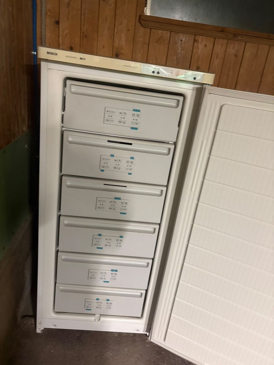 Gefrierschrank: Bosch Tiefkühlschrank – Gebraucht aus Rapperswil SG von kat_rw8q 1