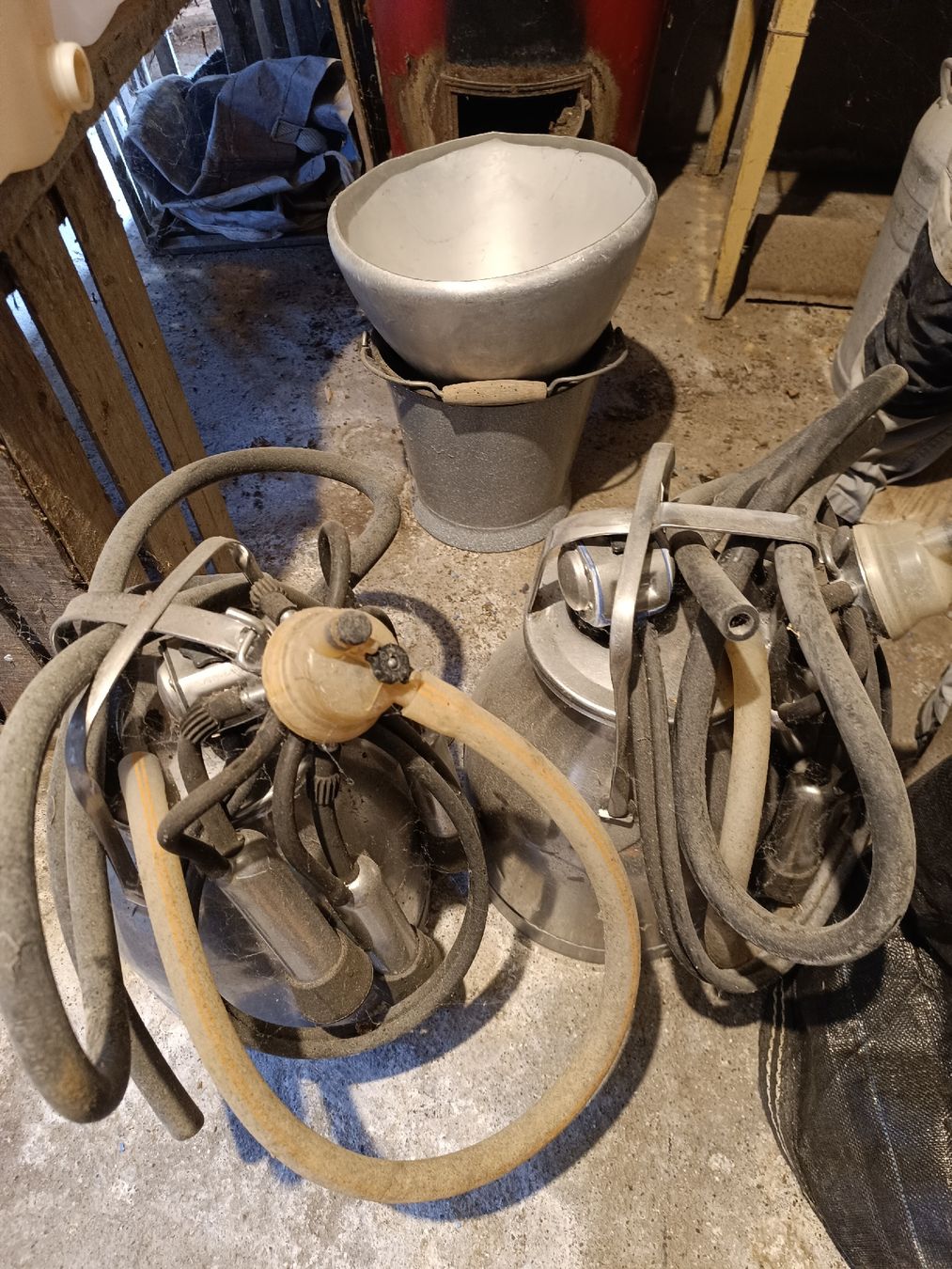 Delaval Tutte le macchine: melkanlage – Usato da Appenzell Steinegg venduto da Bibedibabedibuu 1