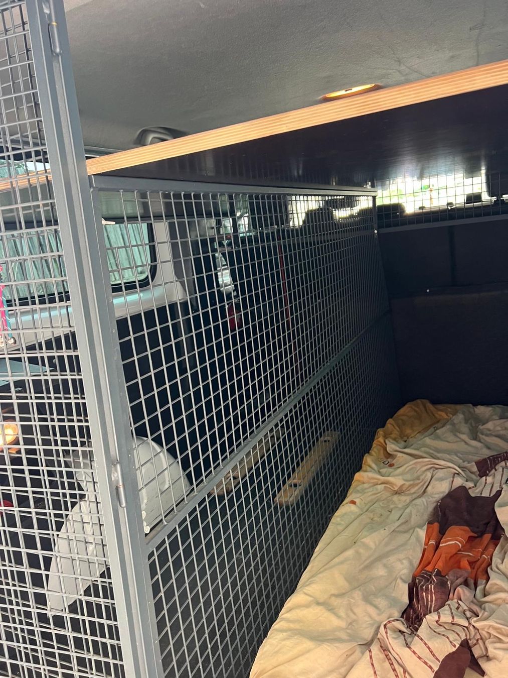 Gabbie, trasporto & Sicurezza: Hundegitter Hundebox Lieferwagen – Usato da Vallamand venduto da Germara 4