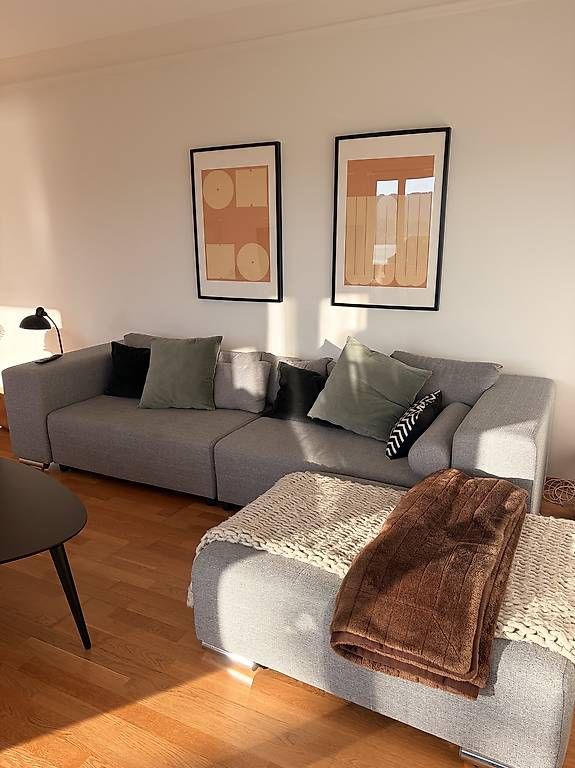 Divani: Schlafsofa grau meliert – Usato da Küsnacht ZH venduto da Lima1212 2