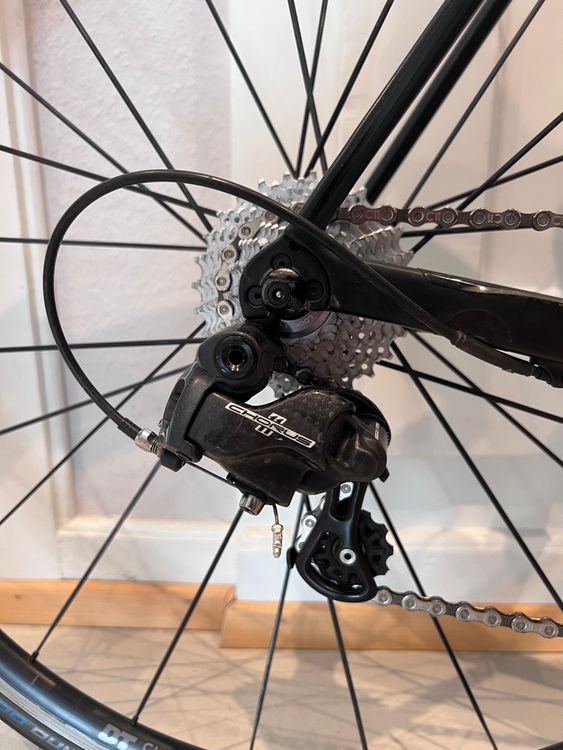 Canyon Vélos: Canyon Endurace CF Carbon/ XL/ Campagnolo Chorus / Preis VB – D'occasion à Zürich par sim_9twy 2