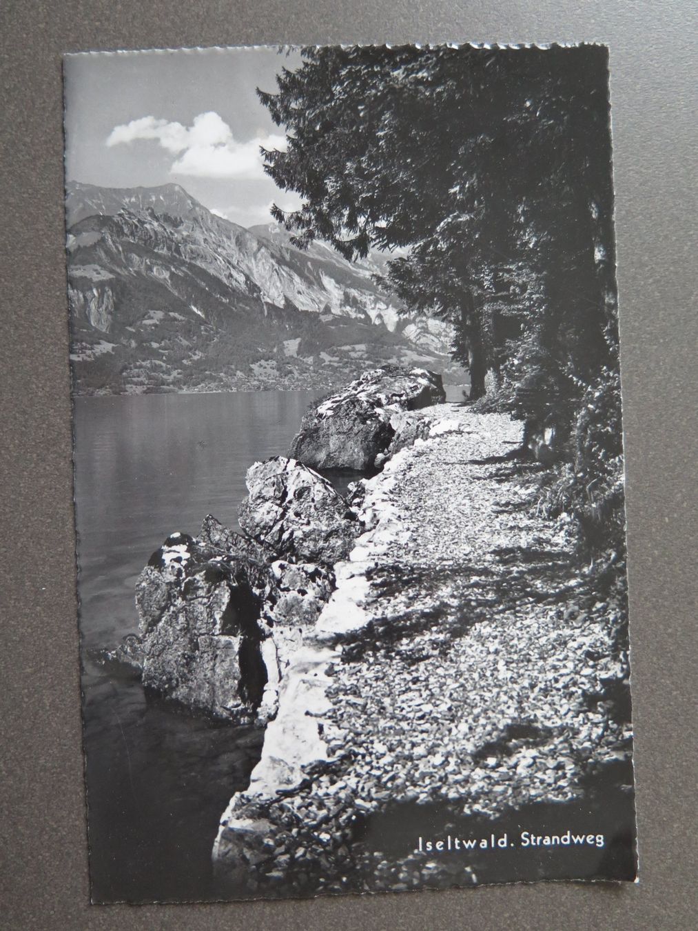 Cartoline postali: ISELTWALD - STRANDWEG – Usato da Wittenbach venduto da lipasal