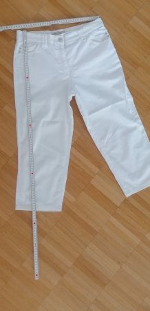 Brax 7/8 Hose