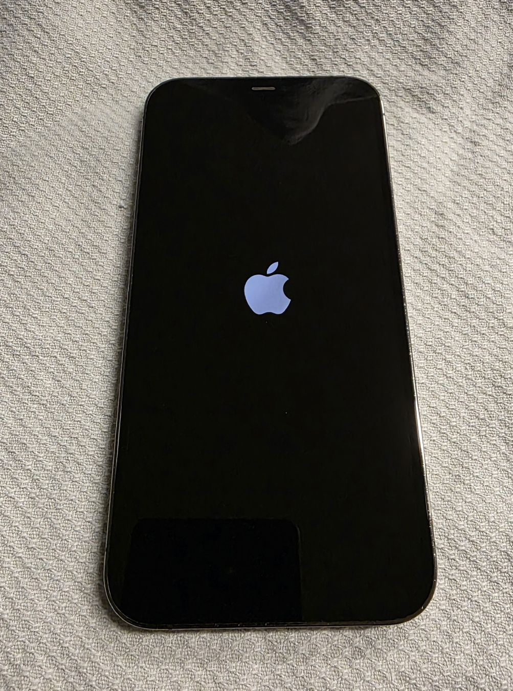 Apple Handys / Smartphones: IPhone 12 pro Max Graphit - Gebraucht aber top gepflegt – Gebraucht aus Richenthal von RahelHe 1