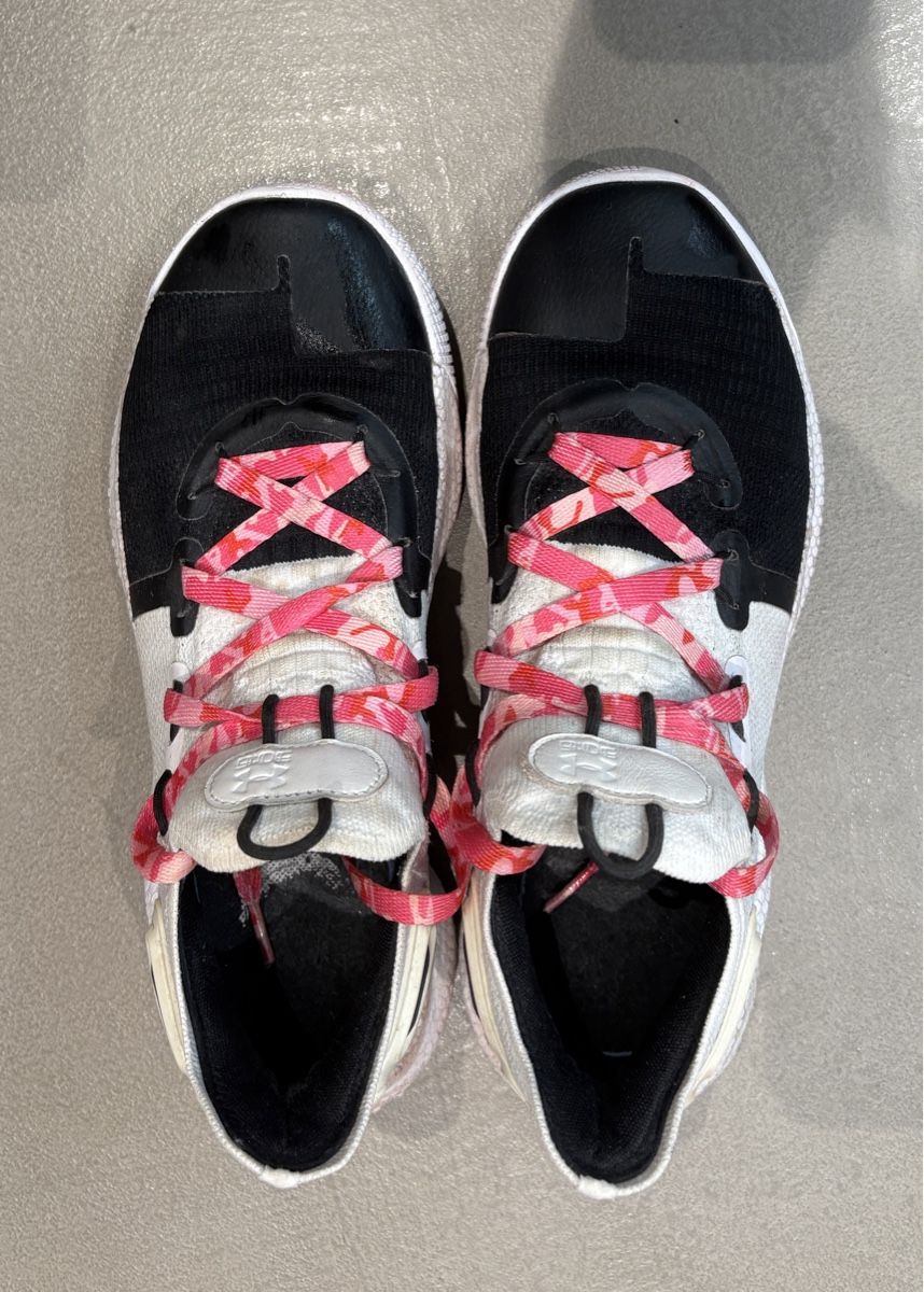 Under Armour Scarpe da uomo: Under Armour Curry 6 – Usato da Gachnang venduto da noe_yrv5 1