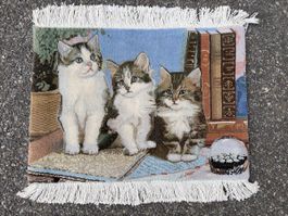Tabriz Iran Katzen Motiv 