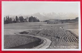 Bern ; Aussicht vom Gurten gegen die Alpen