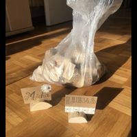 Holzständer für Tischkarten Bastelholz Set gebraucht