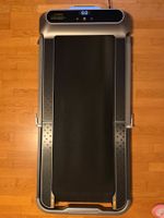 KingSmith WalkingPad R2