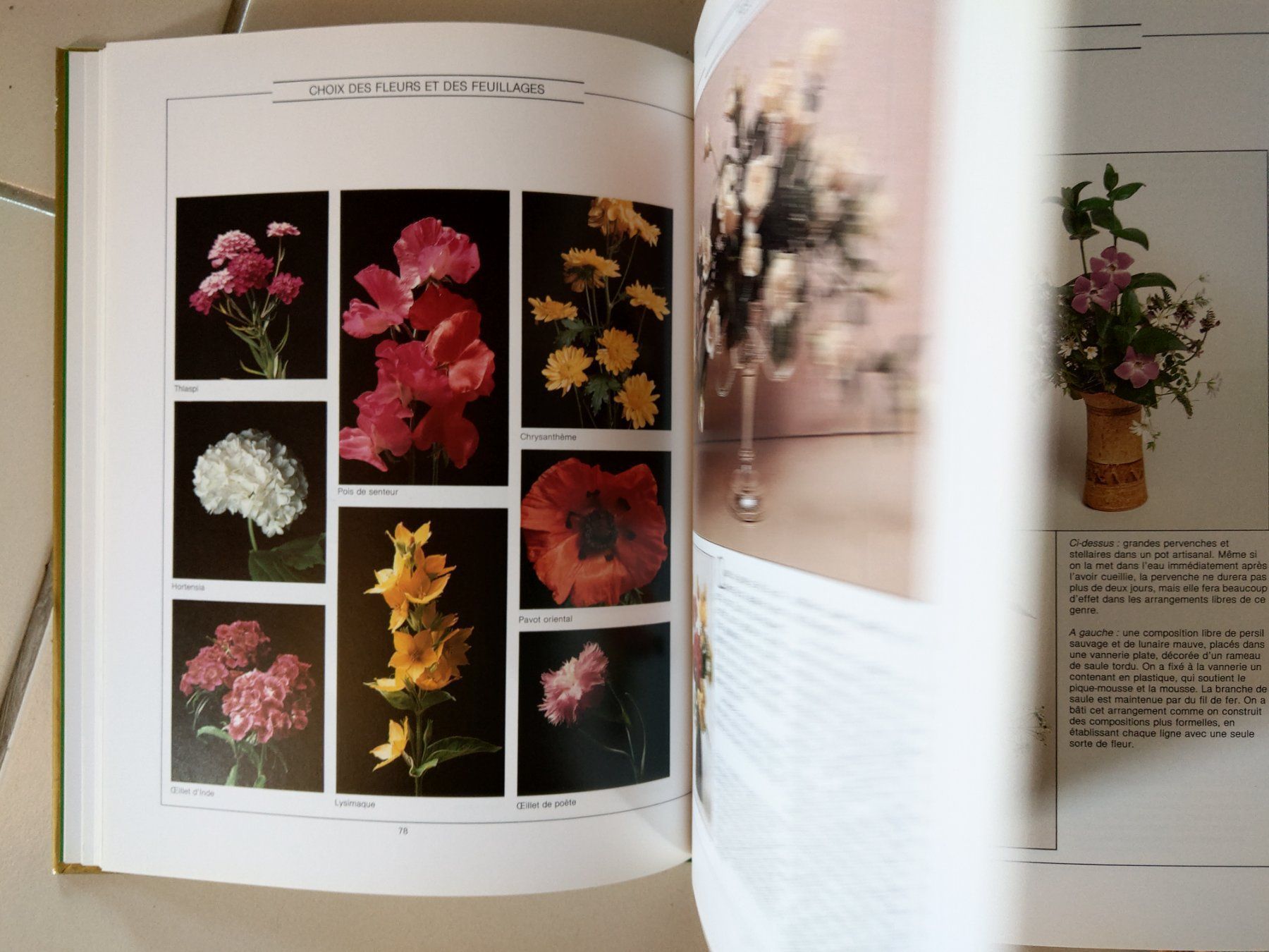 Libri: livre : decoration florale – Usato da Lausanne venduto da tal_01 3