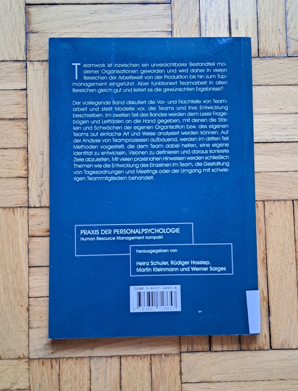 Libri: Teamwork, Teamdiagnose, Teamentwicklung. – Usato da Zürich venduto da nic_dgn5 1