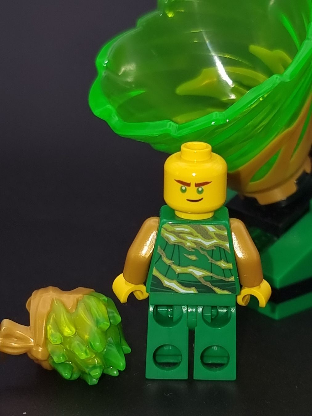 Lego Giocattoli: Lego Ninjago Lloyd FS - Spinjitzu Slam – Usato da Winterthur venduto da Diwolf 4