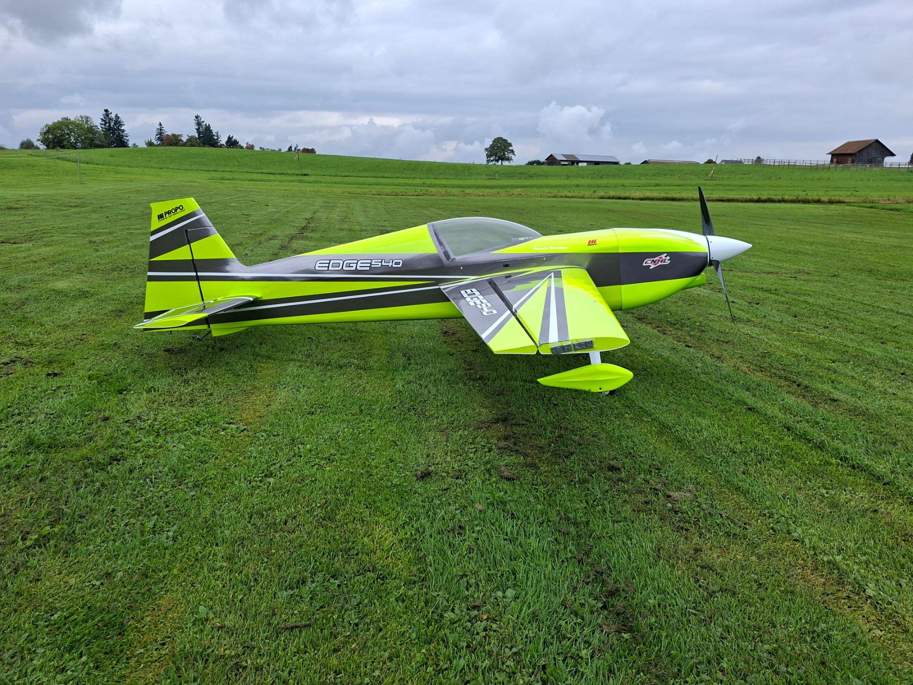 RC Kits de montage: Edge 540 Skywing – D'occasion à Ennetbürgen par HPN