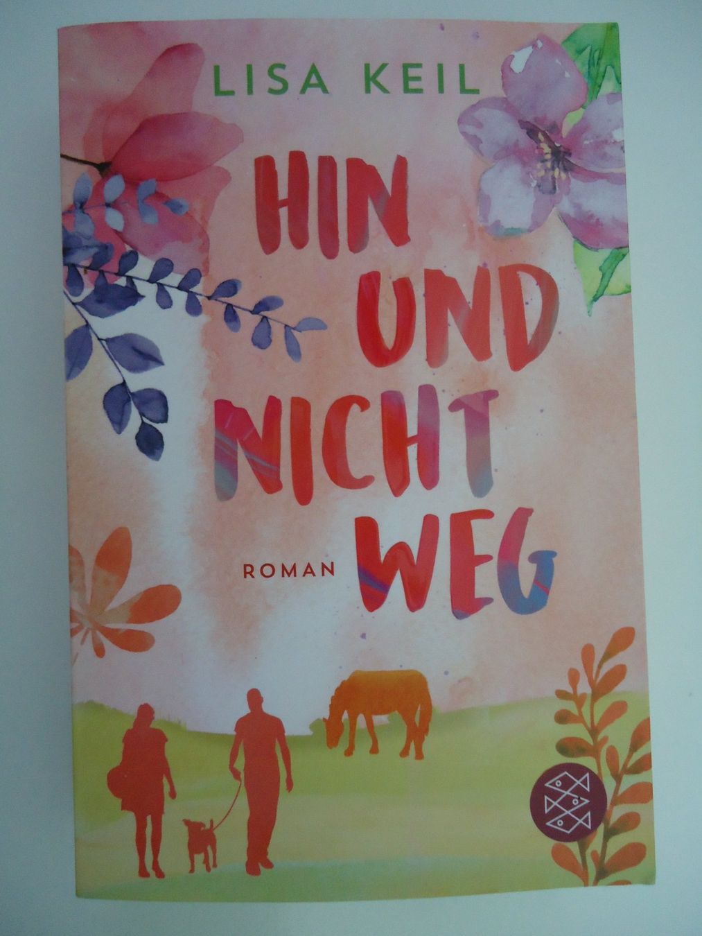 Bücher: Lisa Keil - Hin und nicht weg – Gebraucht aus Thun von Nortshore0