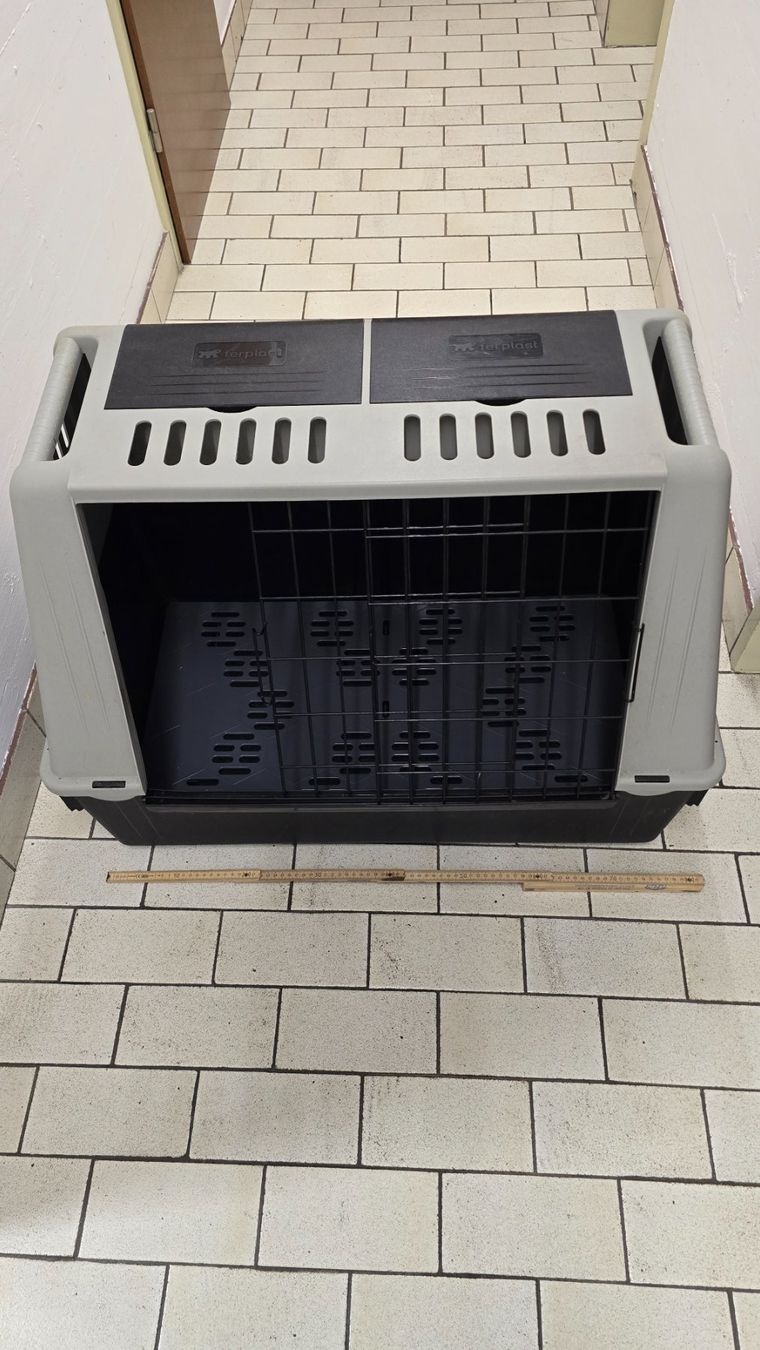 Ferplast Gabbie, trasporto & Sicurezza: Gabbia Box Auto Trasporto Cane – Usato da Agno venduto da giubat 1