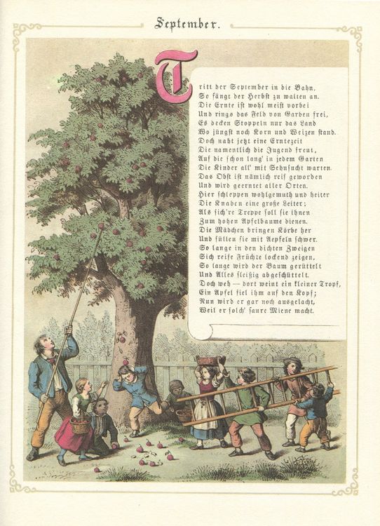 Omlisca 48-teiliges Monats-Set – Headliner & Bunte Kreise Für Pinnwand, Klassenzimmer-Deko, Saisonal