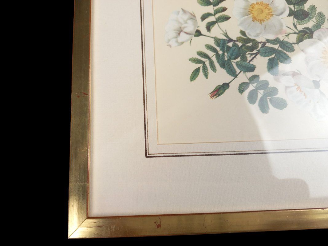 Foto & Immagini: Blumenbild in Bilderramen – Usato da Hünenberg venduto da Restwert_Zug 3
