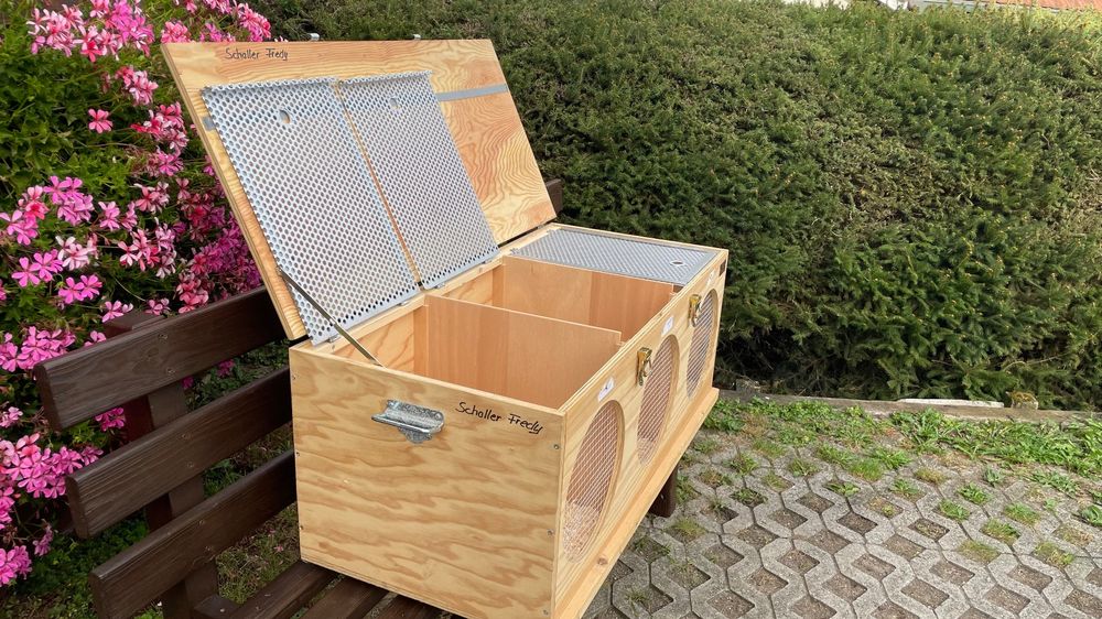 Hemel Transportbox Für Tauben & Ur-Zwerge - Sicherer Transport Für Deine Vögel