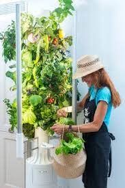 Auflagenboxen: greeny Garden Master Indoor Pflanzentower – Neu und originalverpackt aus Altendorf von megadeals 3