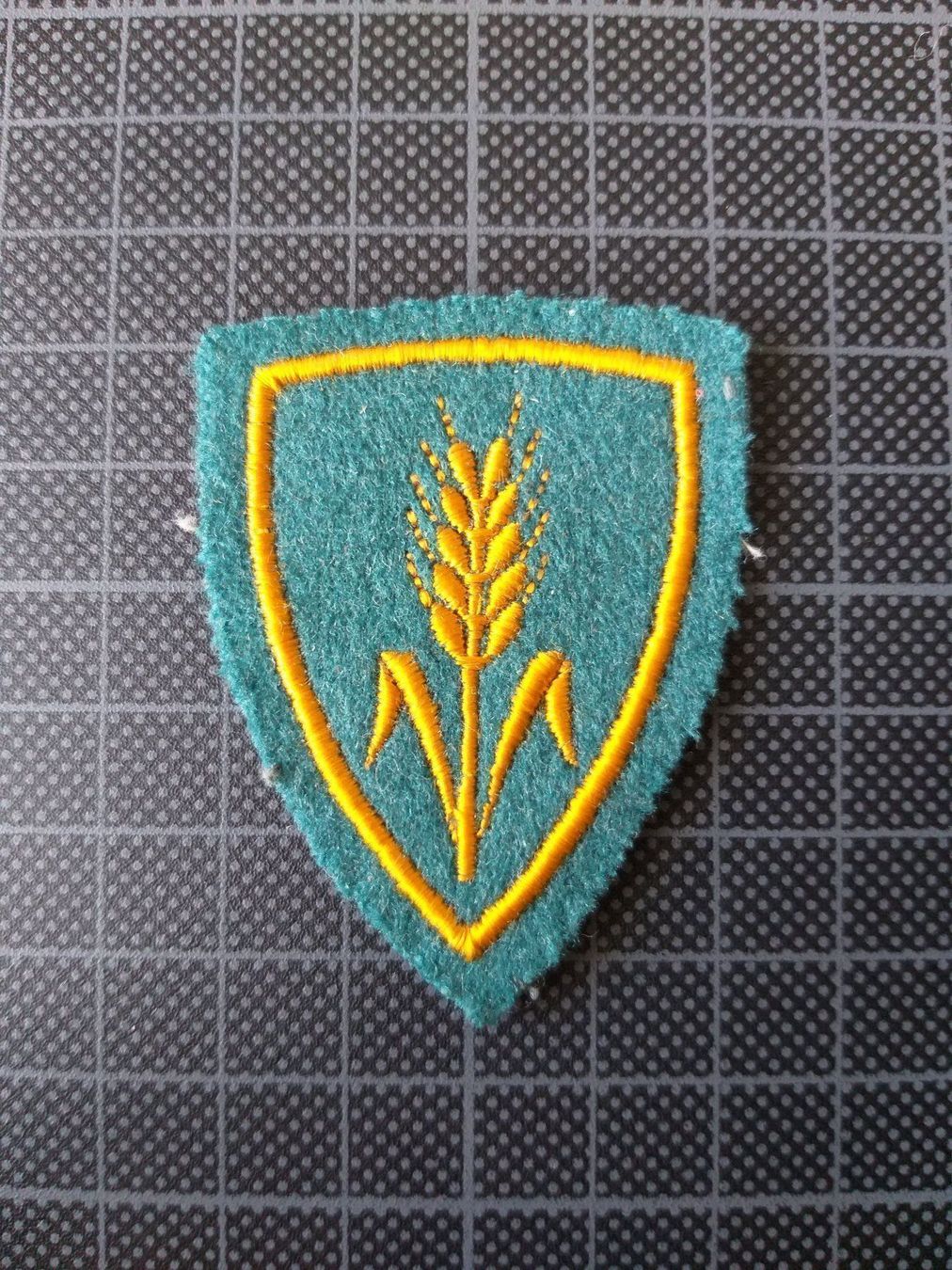 Placchette & Badge: Funktionsabz. Quartiermeister Ord. 1949 – Usato da Bauma venduto da SwissMilitaria