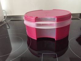 Biscuitdose Tupperware