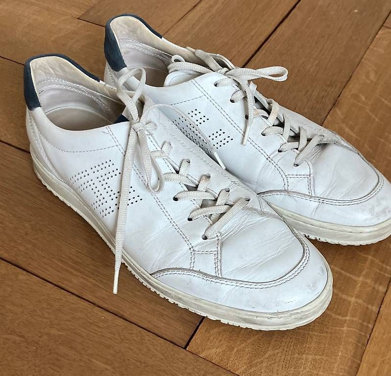 Hogan Scarpe da uomo: Hogan Tennisschuhe Gr. 43 – Usato da Zürich venduto da SiGo8048