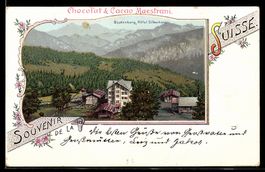 Lithographie Beatenberg, Hotel Silberhorn