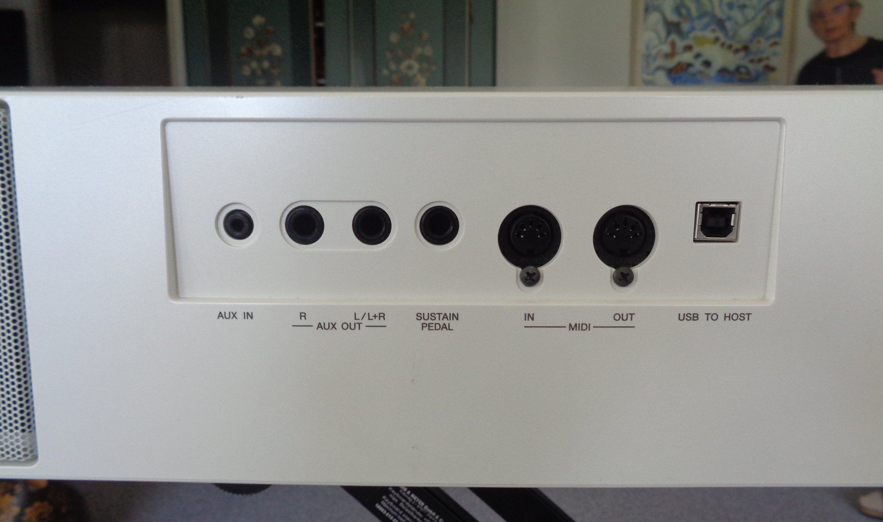Yamaha Strumenti musicali: Yamaha P 255 – Usato da Wattwil venduto da rumusi 3