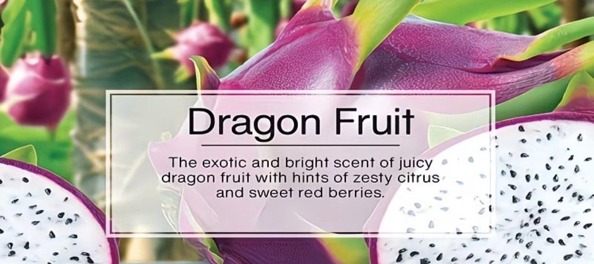 Spray per ambienti: 🐉 Duftbaum Wunderbaum Dragon Fruit Frucht Duft – Nuovo e nell'imballaggio originale da Burg AG venduto da Dein-Expert 1