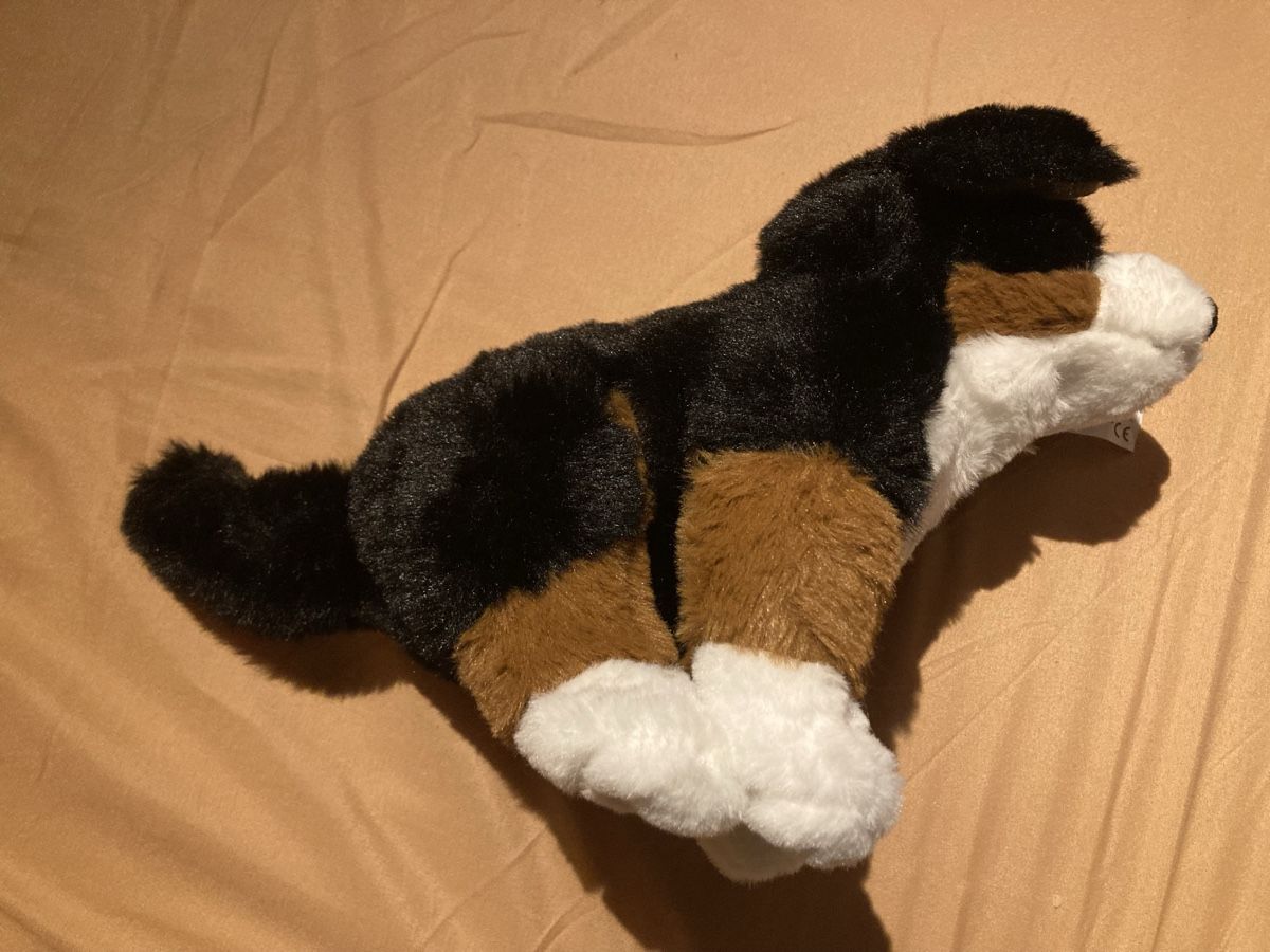 Giocattoli: Chien en peluche neuf – Nuovo e nell'imballaggio originale da Chancy venduto da dia_tb2t 3