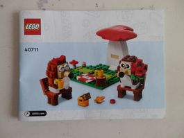 Bauanleitung zu LEGO 40711 Igel Picknick Valentinstag   NEU