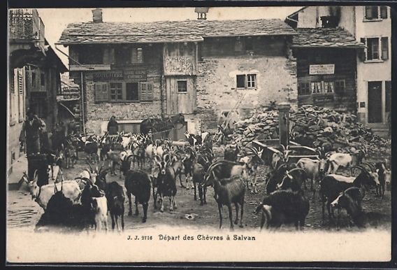 Cartoline postali: AK Salvan, Départ des Chèvres – Usato da Berlin venduto da bartko-reher