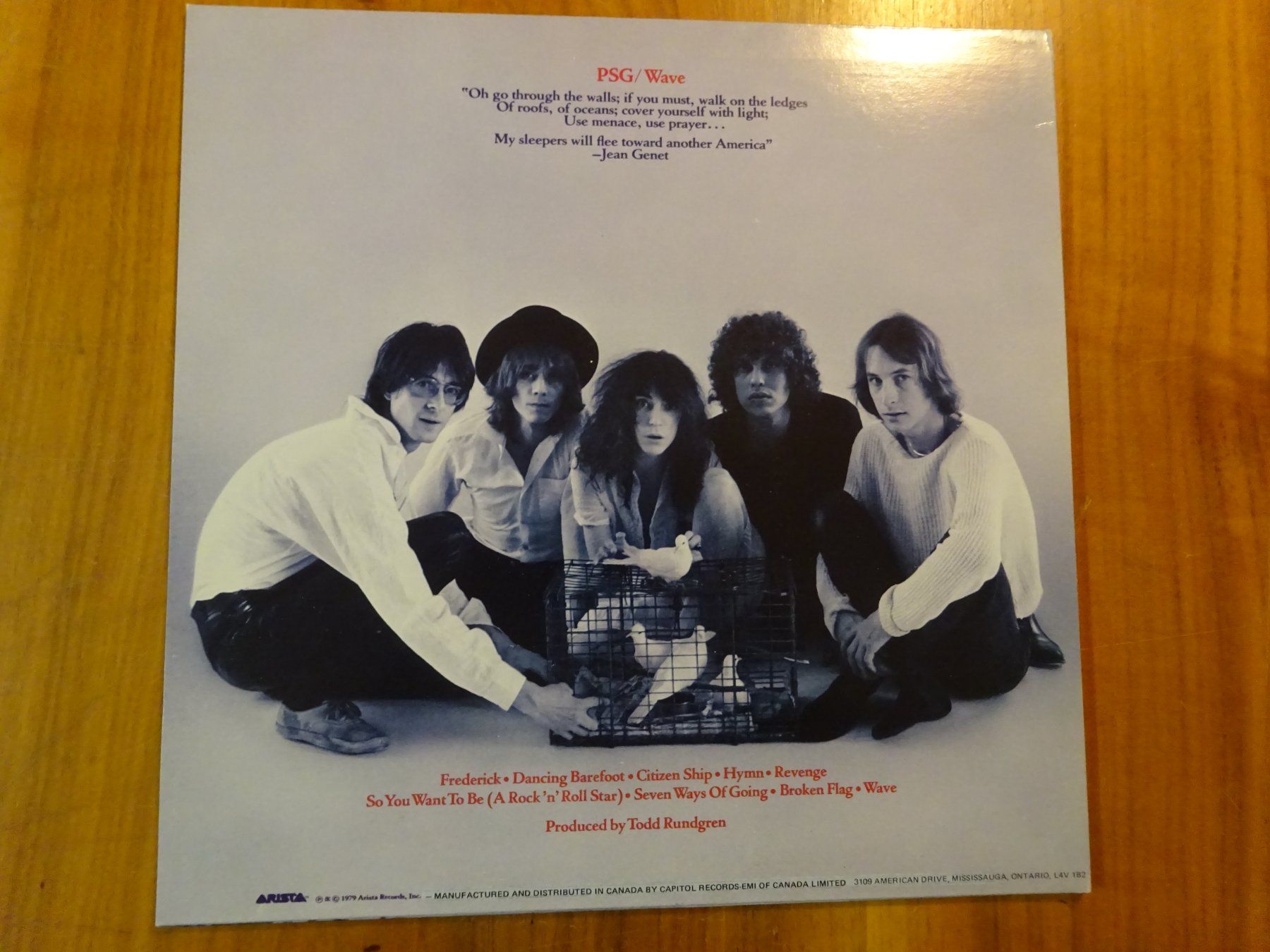 Dischi in vinile: PATTI SMITH GROUP ** WAVE ** NEUWERTIG – Usato da Luzern venduto da xrayspex99 2