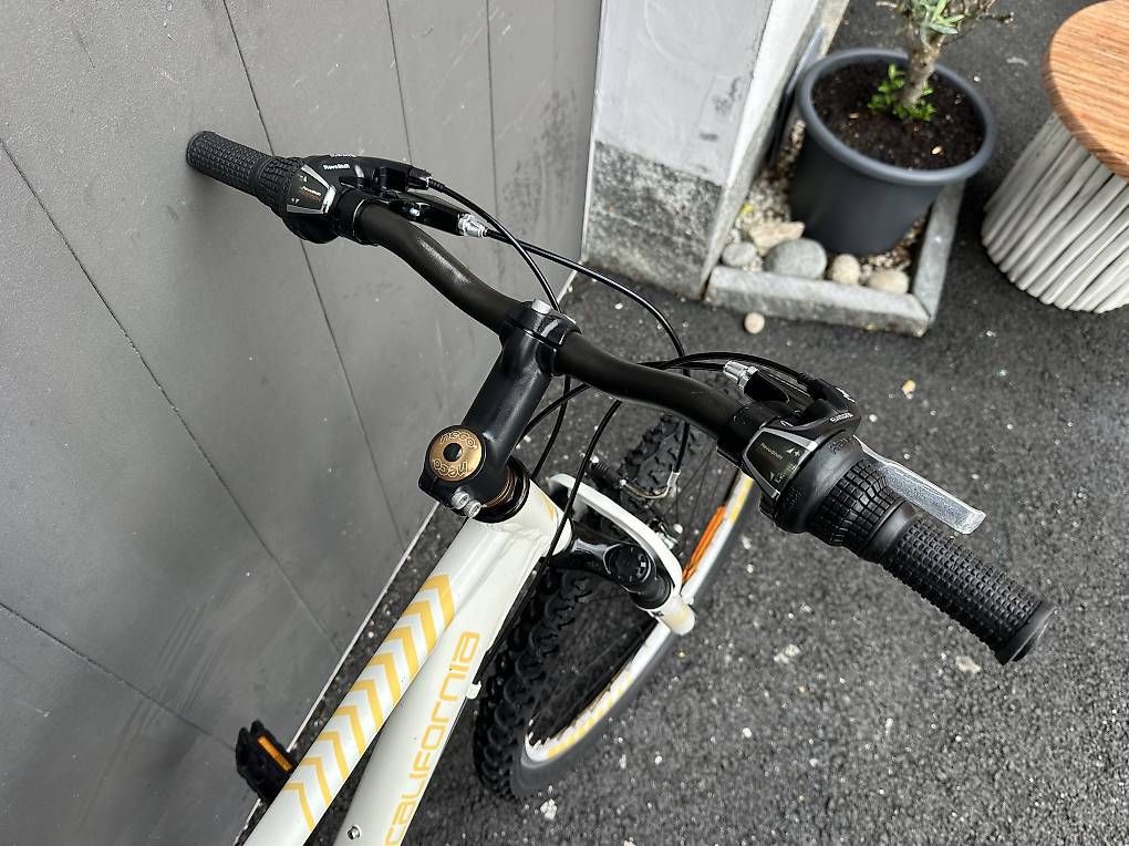 Biciclette: Bicicletta MTB California da ragazza 24  – Usato da Quartino venduto da DiloUsato 5