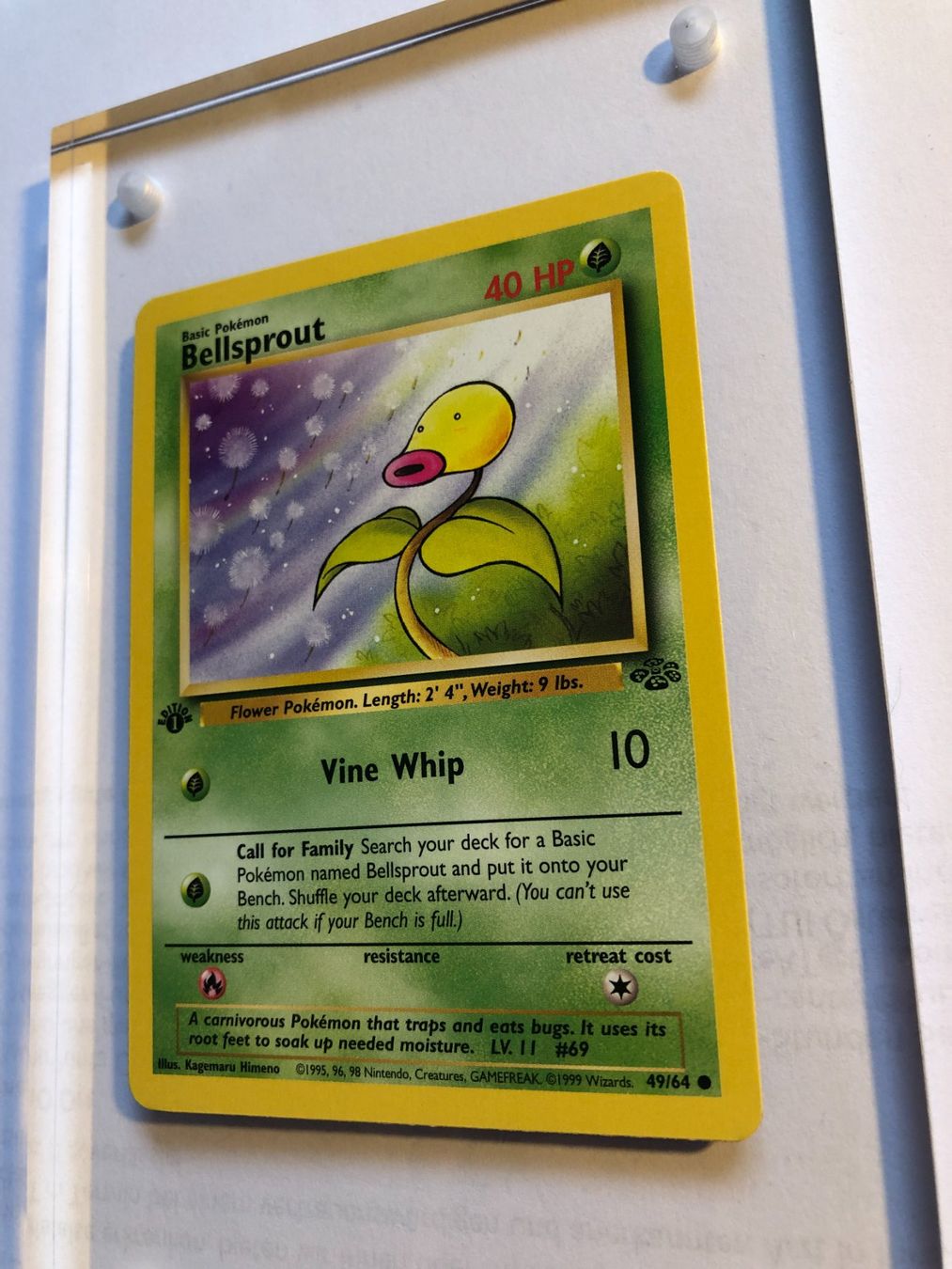 Sammelbilder & Trading cards: Bellsprout 1st Jungle - MINT - ab 1.- – Gebraucht aus Giubiasco von dan_pr8b 2