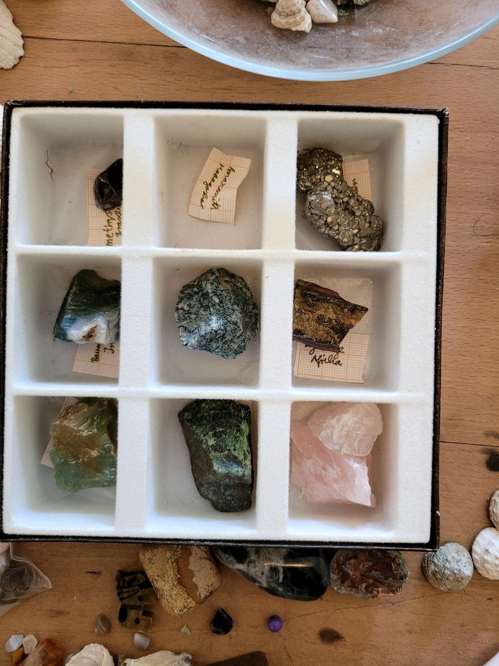 Pietre preziose: Sammlung Halbedelsteine, Ammoniten, Muscheln – Usato da Bern venduto da MoeDoe 6