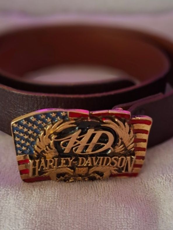 Harley-Davidson Fibbie per cinture: toller Ledergurt mit Harley Davison Schnalle – Nuovo (secondo la descrizione) da Eschenbach LU venduto da neg_zw6v 1