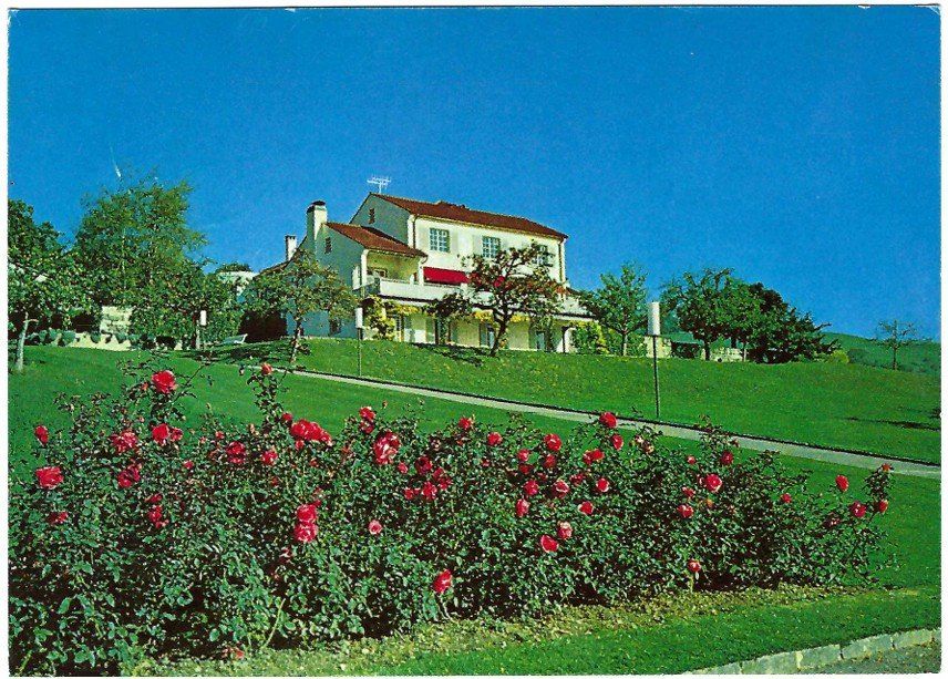 Cartoline postali: AK Hotel Coop Jongny - VD – Usato da Rheinfelden venduto da wil_m7gh