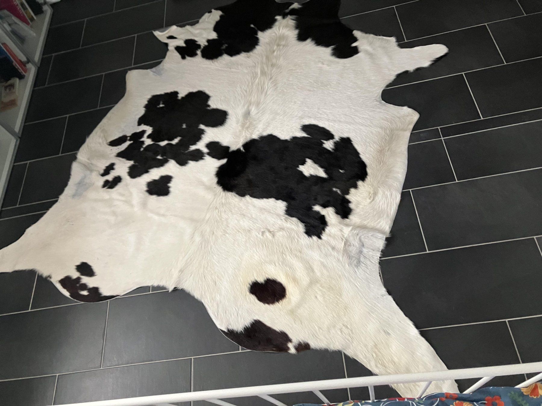 Tappeti: Echtes Kuhfell – Usato da Zufikon venduto da Smilla66 1